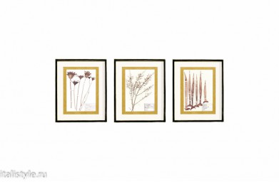 Grasses, Wild, Jucca - Художественный рельеф от Cantori